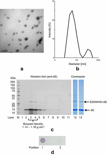 Fig. 7