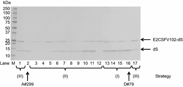 Fig. 2