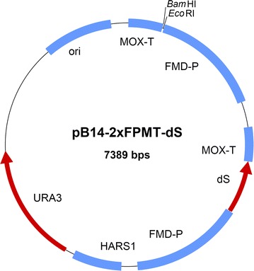 Fig. 1