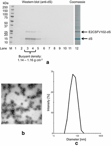 Fig. 8