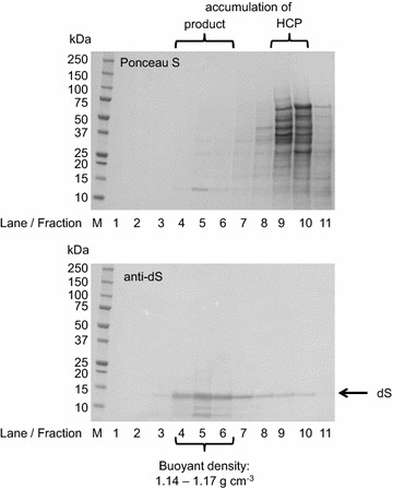 Fig. 5