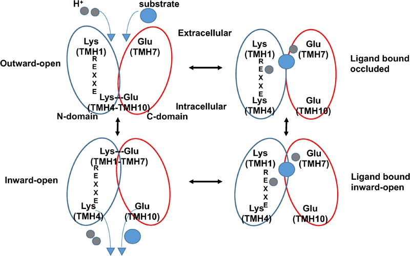 FIGURE 2