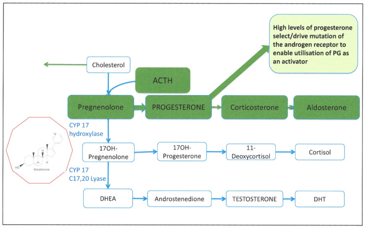 Figure 7