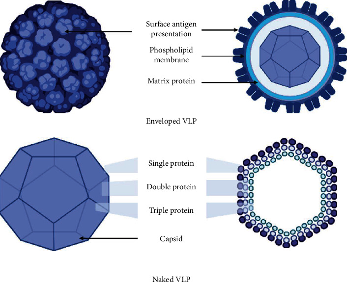 Figure 11