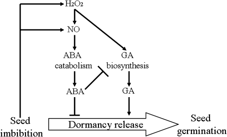 Fig. 9.