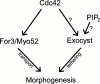 FIGURE 6: