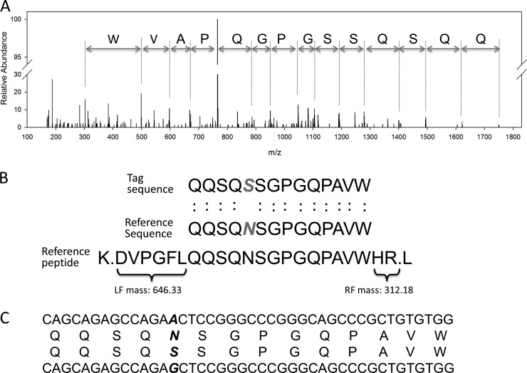 Fig. 8.