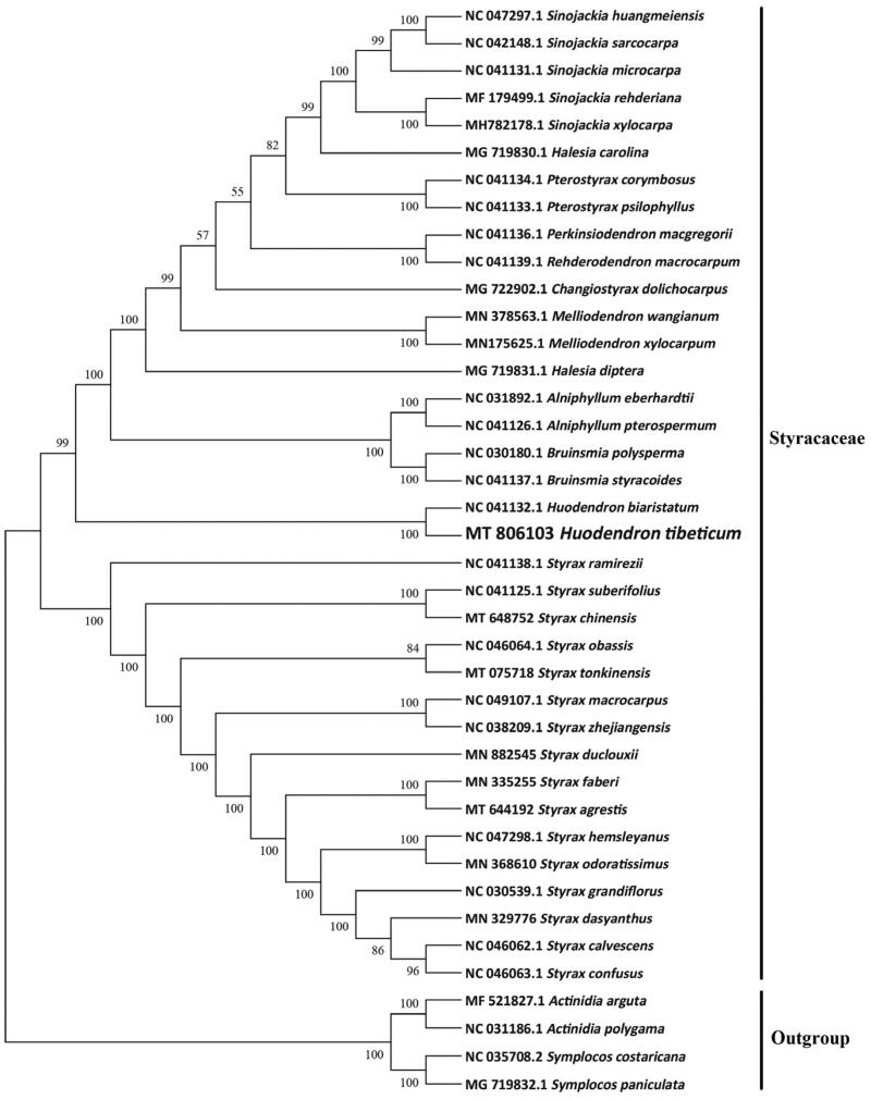 Figure 1.