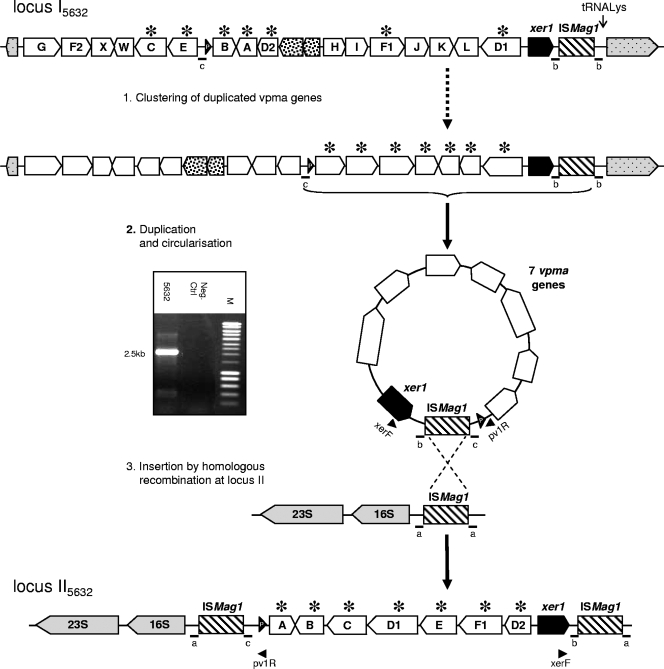 FIG. 4.