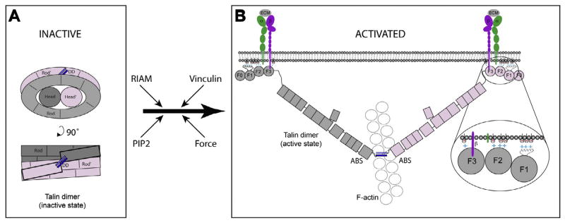 Fig. 8