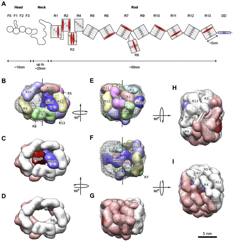 Fig. 6