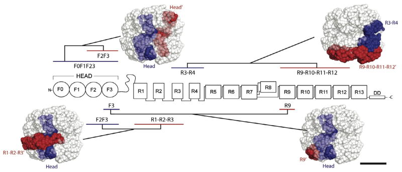 Fig. 7