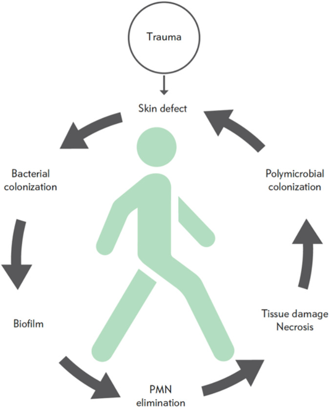 FIGURE 2