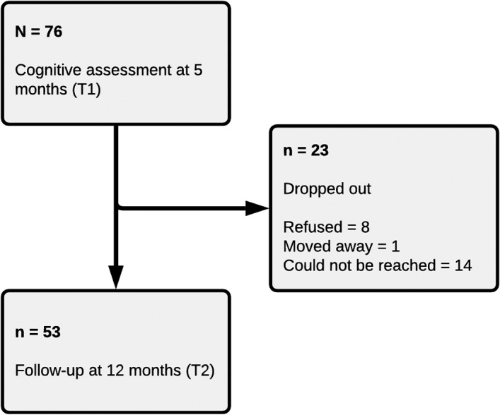 FIGURE 1