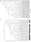 FIG. 2.