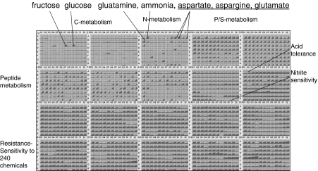 Fig. 2