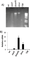 Fig 8