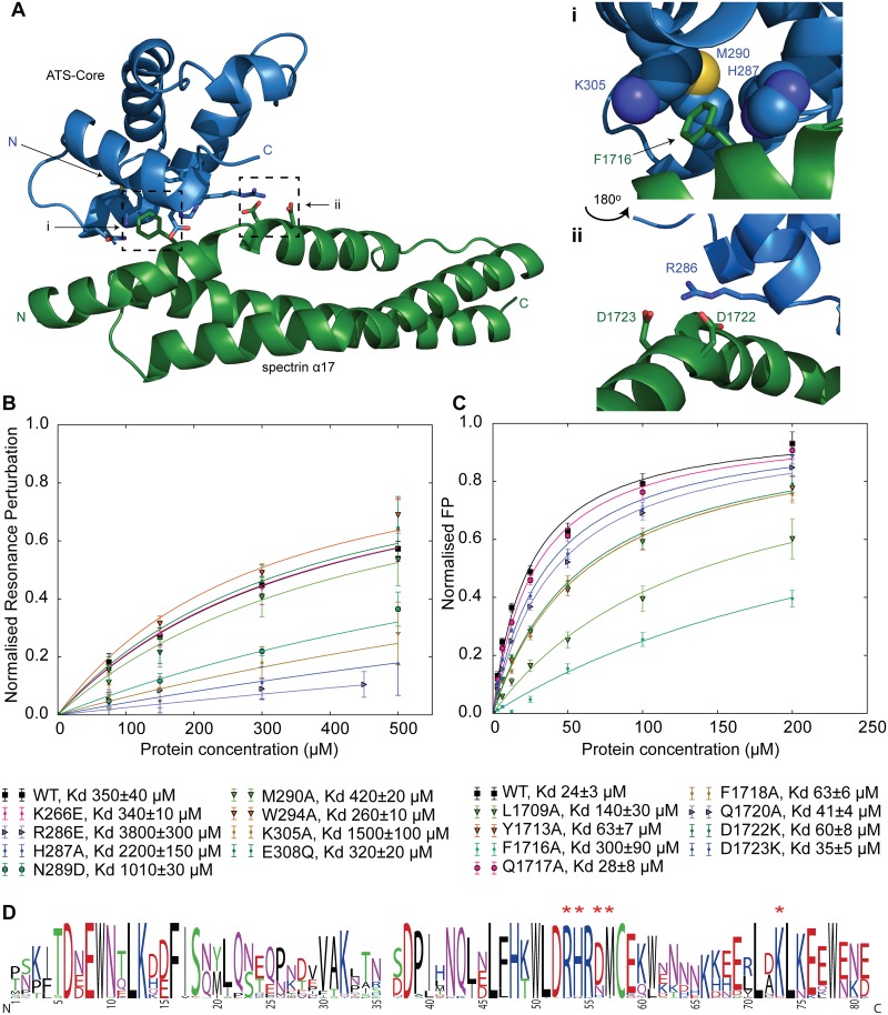 Fig 6