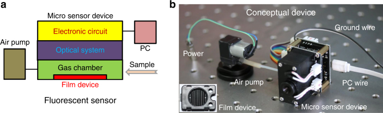 Fig. 4