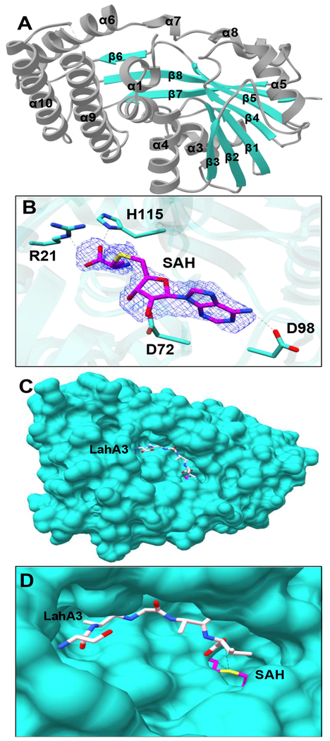 Figure 6.