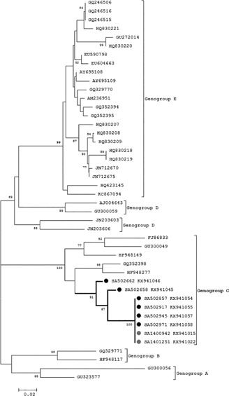 Figure 4