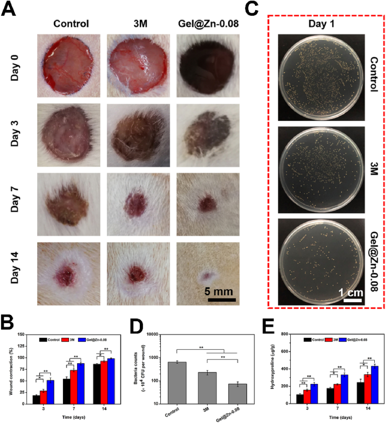 Fig. 6