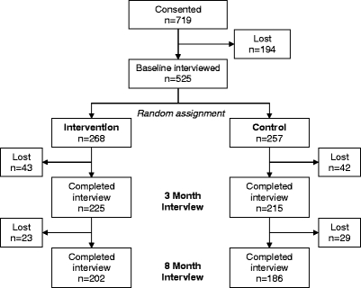 Figure 1