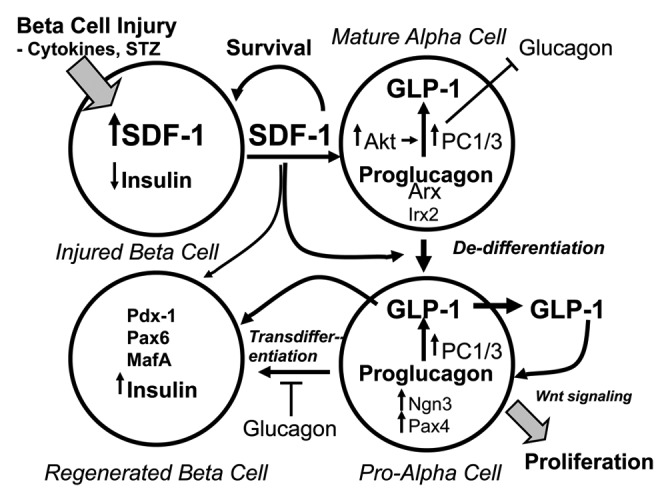 Figure 3. 