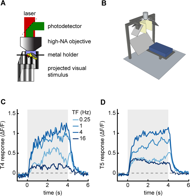 Figure 4.