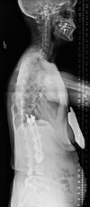 Fig. 5