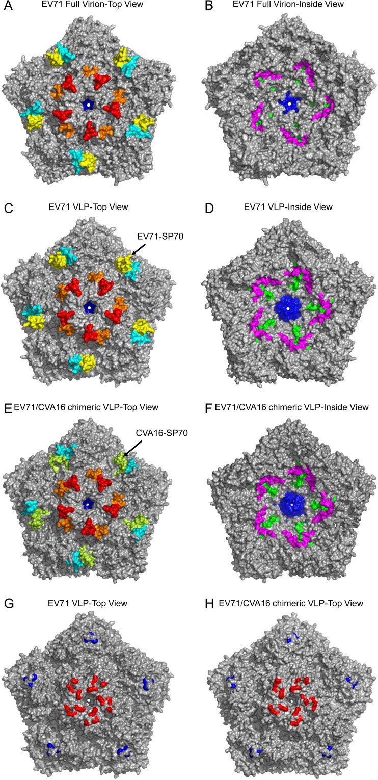 FIG 4