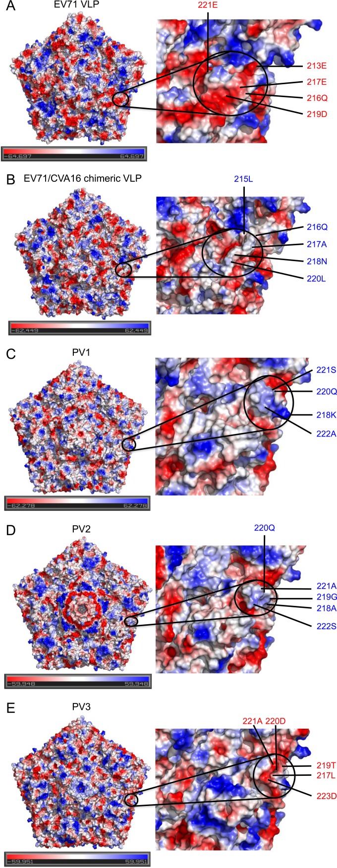 FIG 5