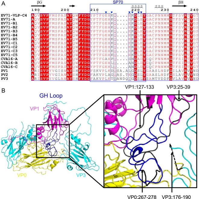 FIG 6