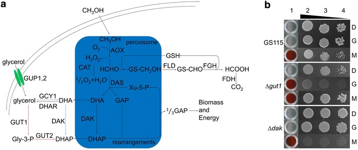 Fig. 1