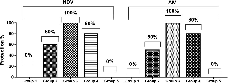 Fig. 6