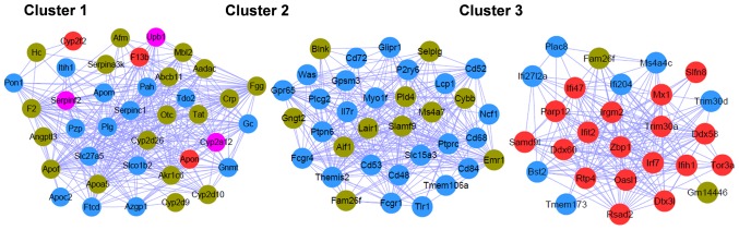 Figure 5.