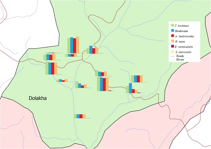 Fig. 2