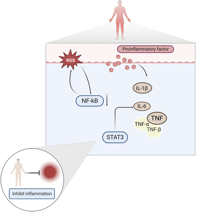 FIGURE 3