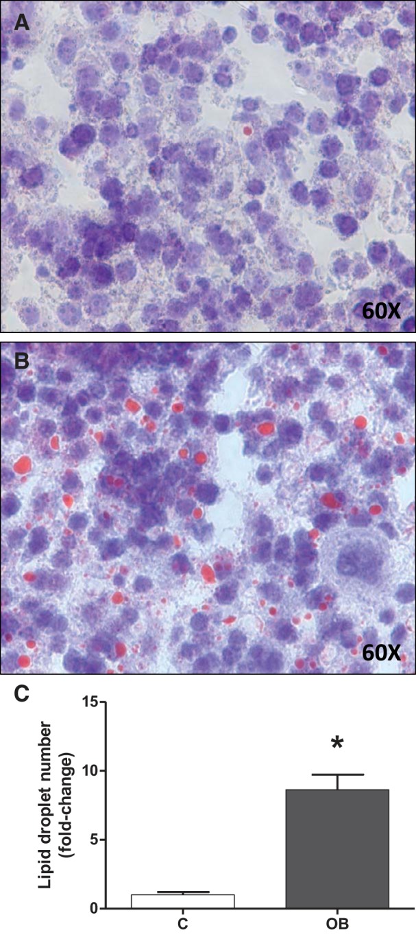 Fig. 5.