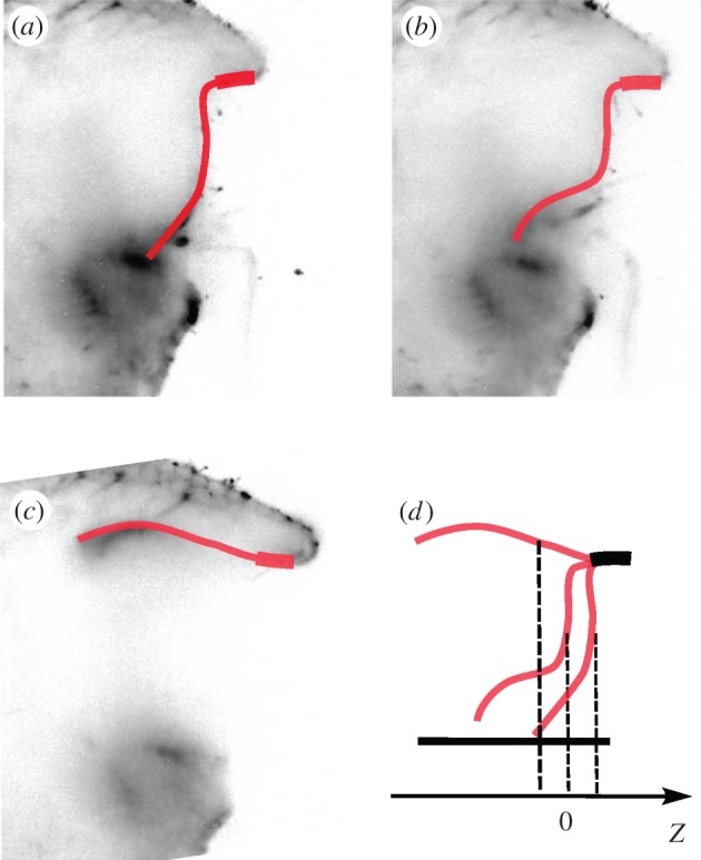 Figure 4.