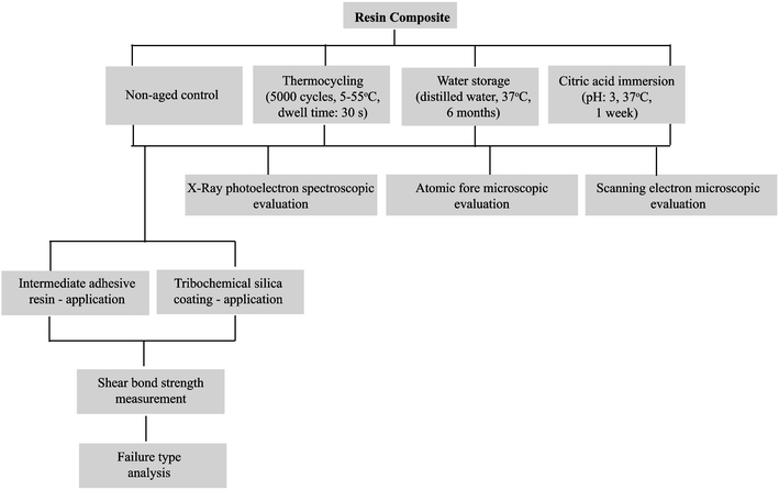 Fig. 1