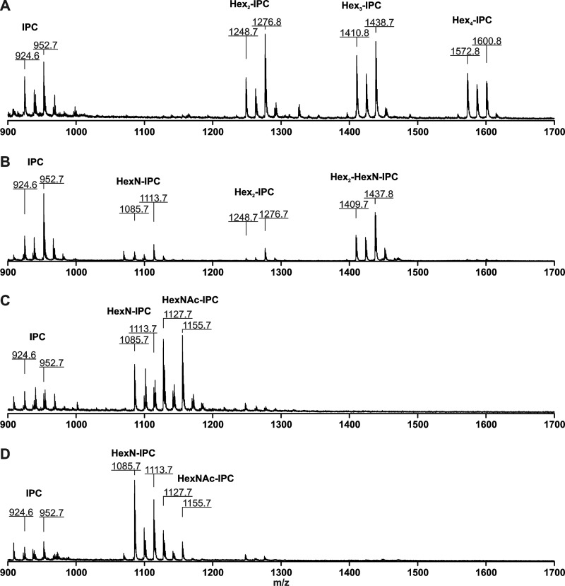 FIGURE 3.