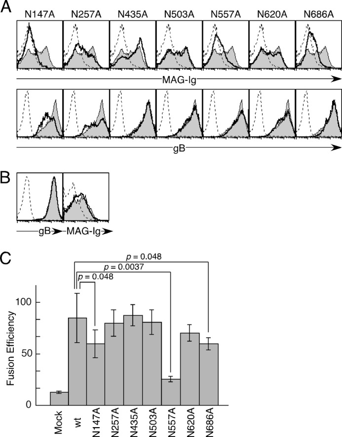 FIGURE 7.