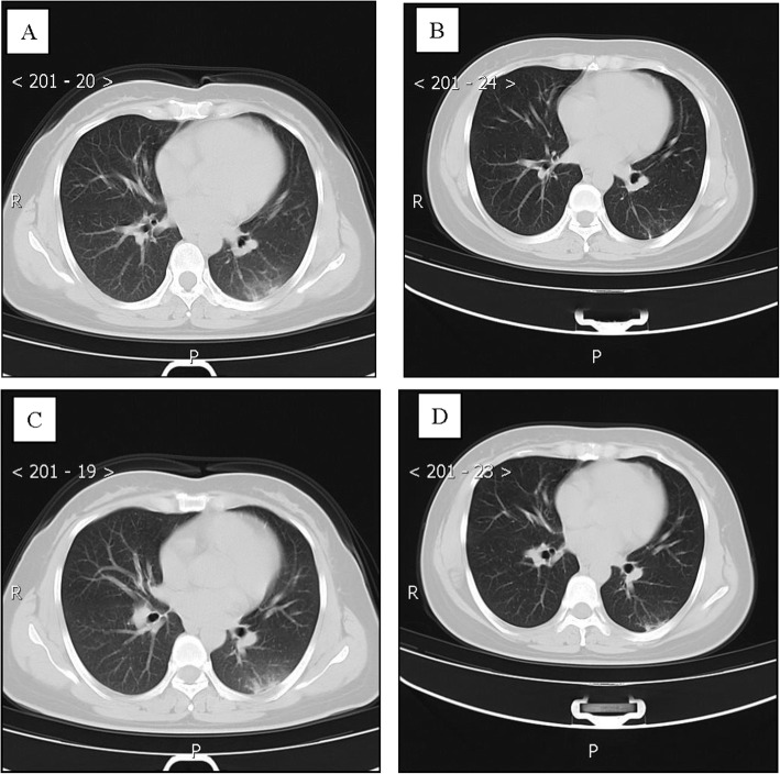 Fig. 6