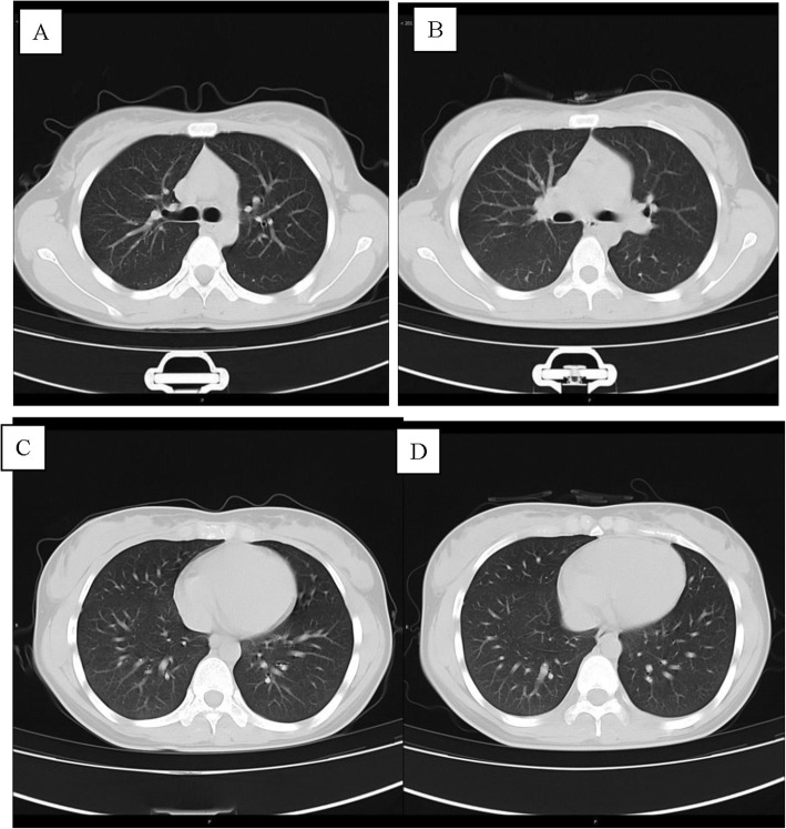 Fig. 7