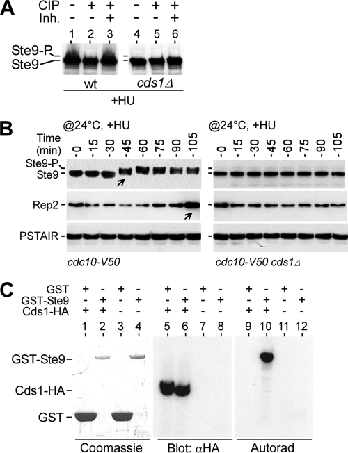 FIG. 6.