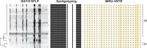 Fig. 3.