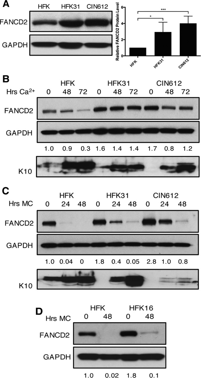 FIG 1 