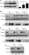 FIG 1