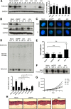 FIG 8